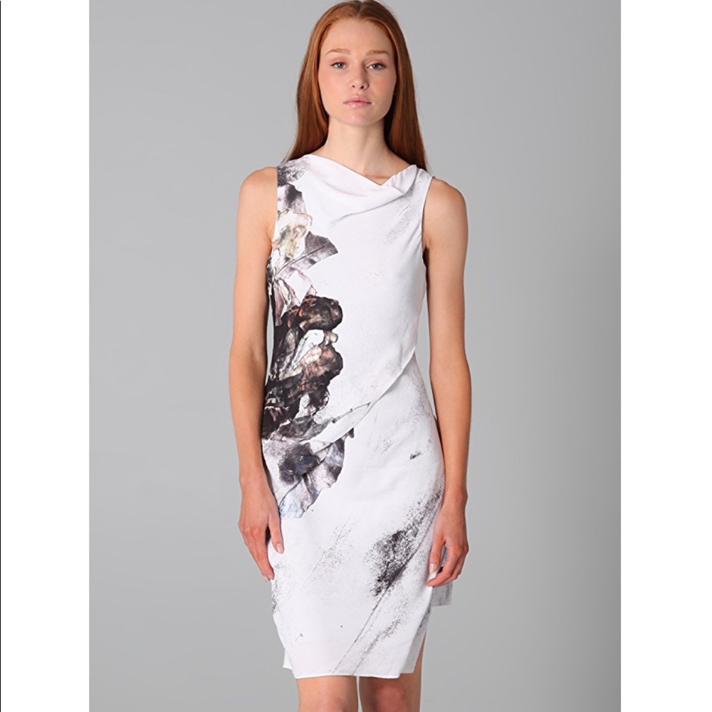 Helmut Lang Carrion Print Dress